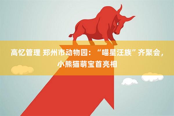 高忆管理 郑州市动物园：“喵星汪族”齐聚会，小熊猫萌宝首亮相