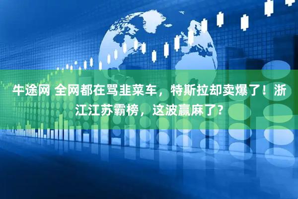 牛途网 全网都在骂韭菜车，特斯拉却卖爆了！浙江江苏霸榜，这波赢麻了？